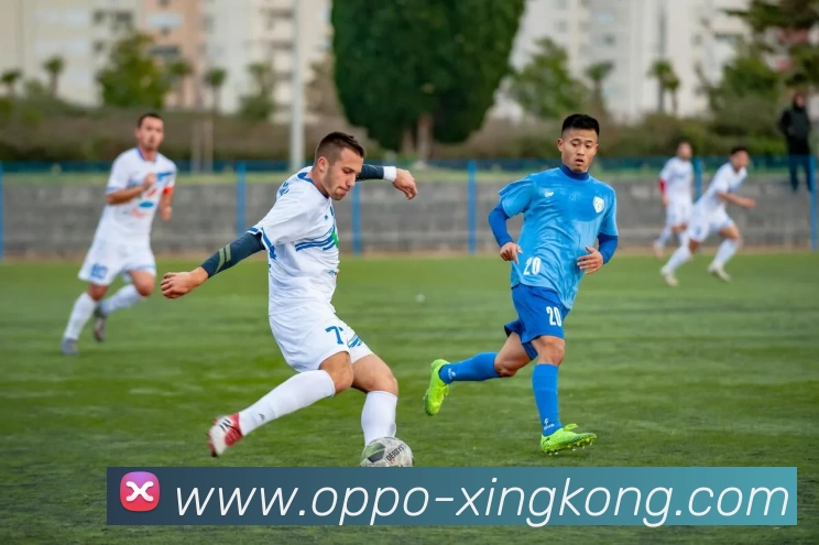 星空体育服务体系